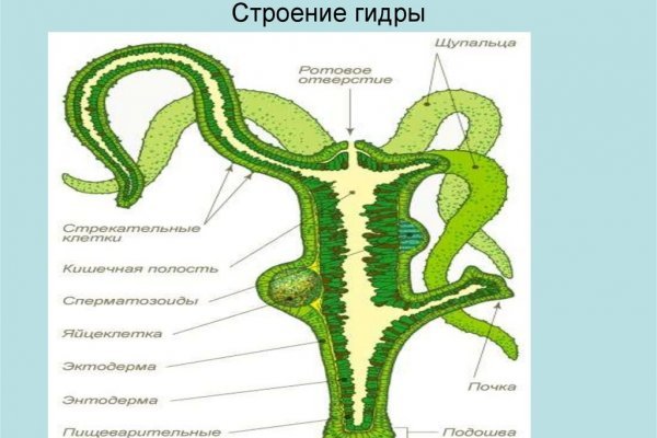 Кракен впн