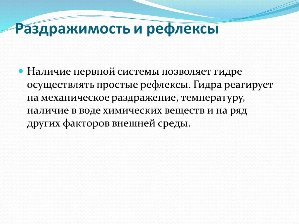 Через какой браузер можно зайти на кракен